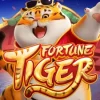 Fortune Tiger
