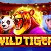 Wild Tiger